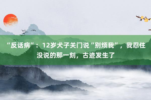 “反话病”：12岁犬子关门说“别烦我”，我忍住没说的那一刻，古迹发生了